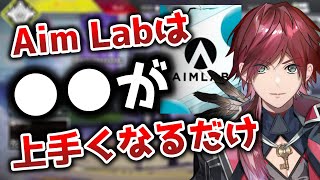 Aim Labについて語るローレン【切り抜き/にじさんじ/ローレン・イロアス/APEX】