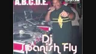 DJ Spanish Fly - Cement Shoes