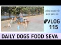 Daily Dogs Food Seva Vlog115 365Milk Bread Ki Seva Stray Dogs Ke Liye ️ Dailyvlog