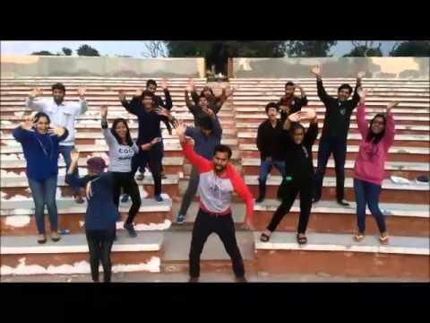 birthday wishes video for malvika..