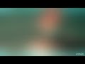 Pinocchio 1976 Intro German