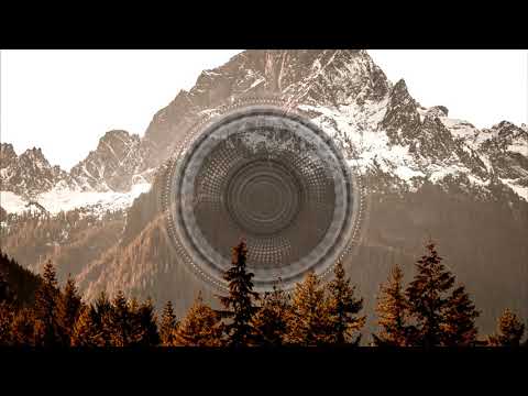 Timo Chinala - Bird Migration (Original Mix)