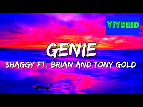 Shaggy ft Brian & Tony Gold - Genie (Lyrics) “She’s Mine”