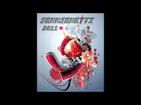 SennSenetti feat. Ferkix - gedanken der nacht