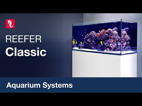 Red Sea Reefer Reef Ready Systems For Advanced Hobbyists