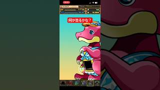 パズドラでガチャしてる時が一番幸せ　#short #パズドラ