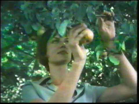 Comercial Clight 1999