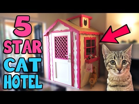 CHIBI GOES TO 5 STAR CAT HOTEL!!!