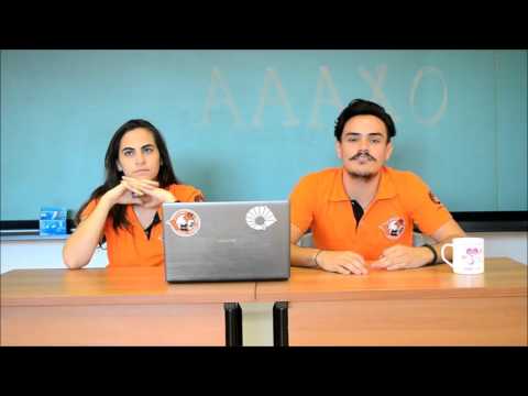 AAAXO INFORMA - 1º Semestre