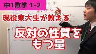 サンプル動画