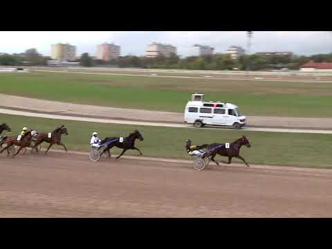 2020.10.17. 08. futam - MARSCHALL NORBERT EMLÉKVERSENY - AMATŐRVERSENY HENDIKEP