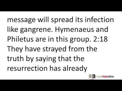 September 10 2 Timothy 2 New Testament for the Daily Video Bible DVB