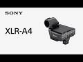 Introducing XLR Adaptor XLR-A4 | Sony | Accessory