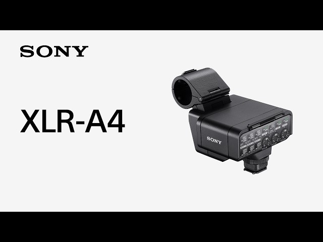Vidéo SONY ADAPTATEUR XLR-A4