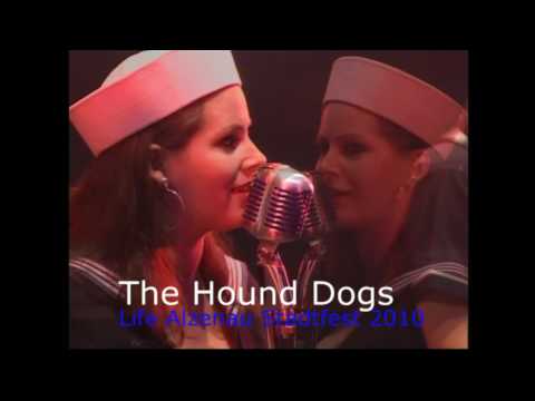 The Hound Dogs - Live Stadtfest Alzenau 2010