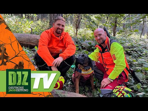 Saxon Searches - DJZ TV