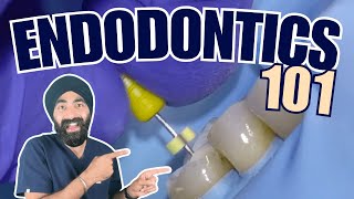 Endodontics Basics - Foundations of RCT - PS017