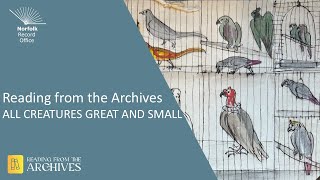 Reading from the Archives: All Creatures Great and Small