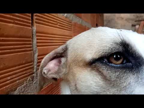 não esperava que isso ia acontecer kkkkkkk