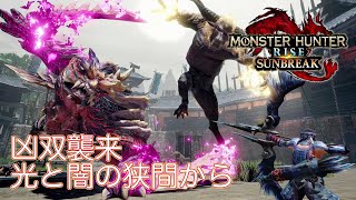 #30【Steam版：光と闇の狭間から】ゼルダに翔蟲が欲しい（ゆっくり実況）