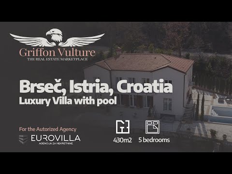 Griffon Vulture - Eurovilla - Croatia, Brseč luxury villa with pool