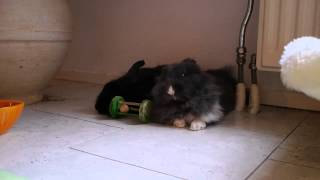 Rikka and Yui dozing off..