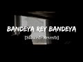 Bandeya Rey Bandeya - Arijit Singh Simmba Song | Slowed and Reverb Lofi Mix