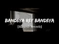 Bandeya Rey Bandeya Arijit Singh Simmba Song Slowed And Reverb Lofi Mix