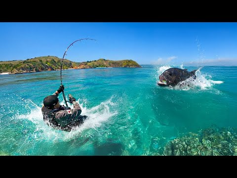 Hooking the Impossible Fish