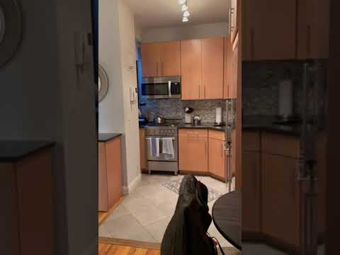 video 1