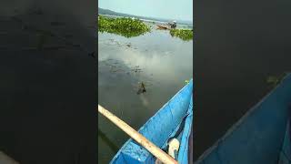Download lagu panik lah masa enggak.... mp3 Download lagu panik lah masa enggak.... mp3