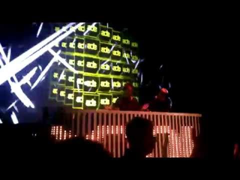 Chocolate Puma / FLG Rocks Amsteram  #ADE2014