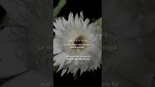 Download lagu Surah Ad Duha 1-5 Ibn Bashir en español #español  #coran #españa  #mexico #colombia  #venezuela mp3