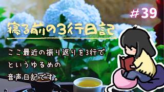 寝る前の3行日記　youtubeで39回目(๑•᎑•๑)