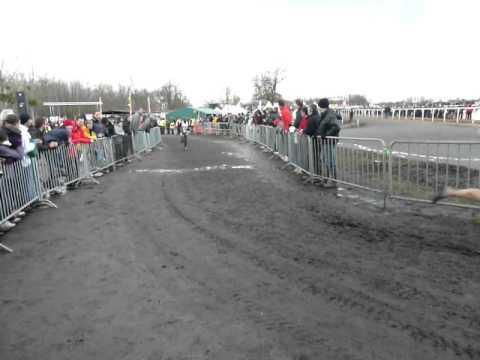 Championnat de France de  Cross 2011 Seniors hommes km 6,1