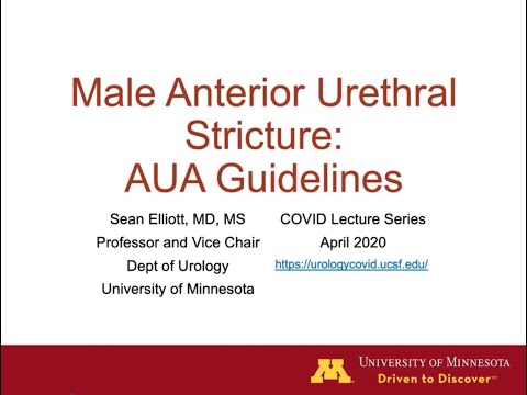 4.7.2020 Urology COViD Didactics - AUA Urethral Stricture Guidelines
