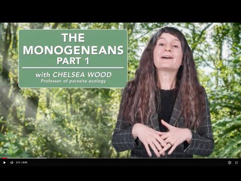 The monogeneans - Part 1