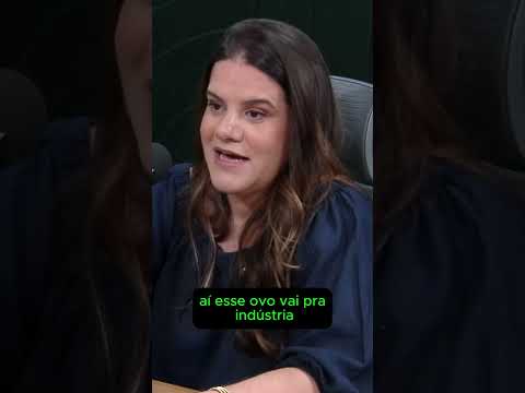 Ovos caipiras: saiba como é o processo de manejo