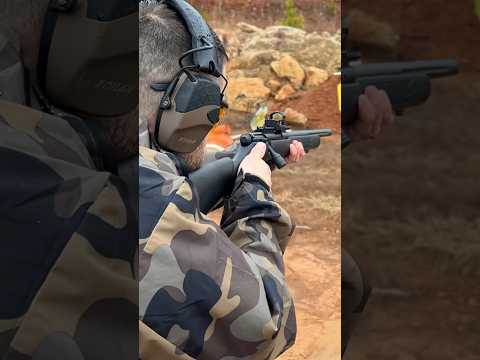 Savage's Mark ii FV, Scope, Rings \u0026 Bipod for $680. Precision .22 on a budget. Part 1