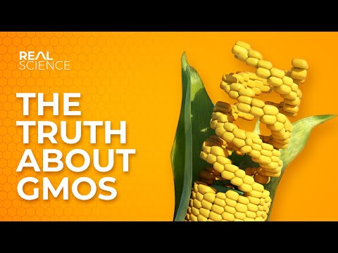 The Truth About GMOs