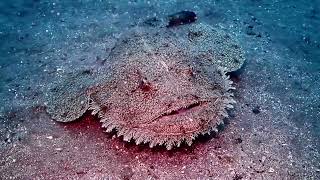 クラブキッズ(CLUB KID'S)