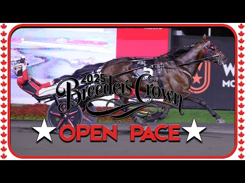 2025 Breeders Crown | Ervin Hanover | Open Pace