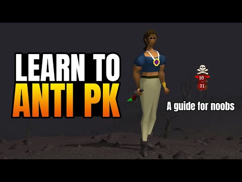The Beginner's Guide to Anti PKING