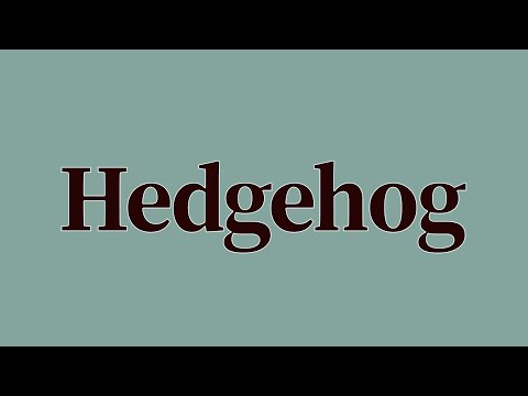 Hedgehog Meaning and Pronunciation