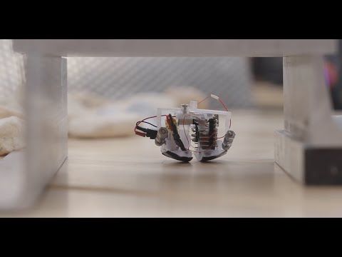 Miniature walking robot: 