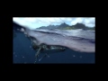 Oceana