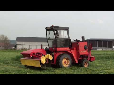 Landb. Van Keymeulen - Vollezele - Fox Brady 6650