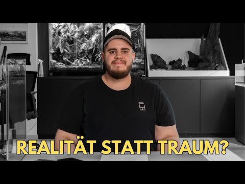 4 years self-employed as an aquascaper & YouTuber - reality instead of a dream?