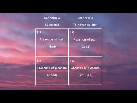 The Exploring Antinatalism Podcast #5 - David Benatar