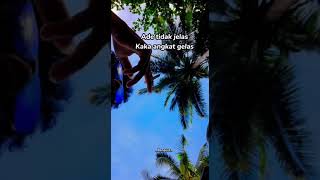 Download lagu video story wa 30 detik/ story pemabuk mp3